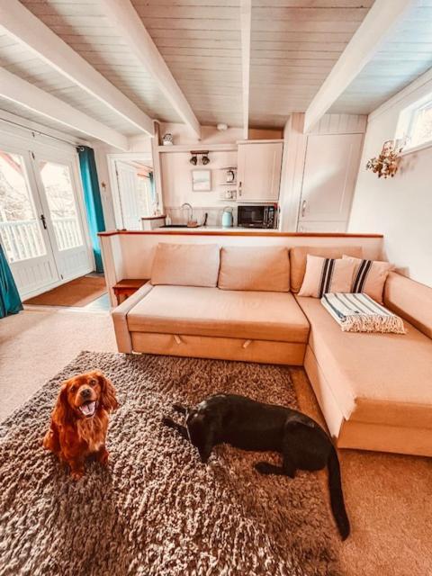 Blankednick Boltholes - 3 Beautiful Family Or Couples Cornish Getaways Villa Truro Dış mekan fotoğraf